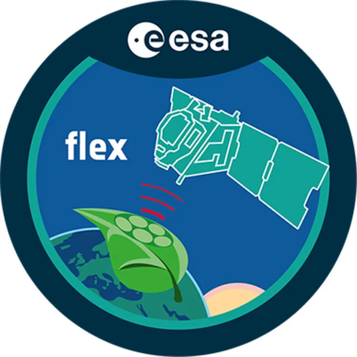 Flex.