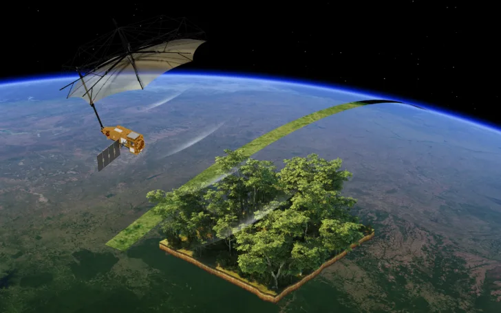 Biomass måler karbonet i jordas skoger.