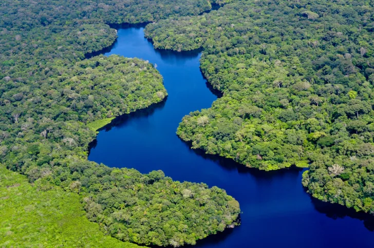 Utsnitt av Amazonas-elven i regnskogen.
