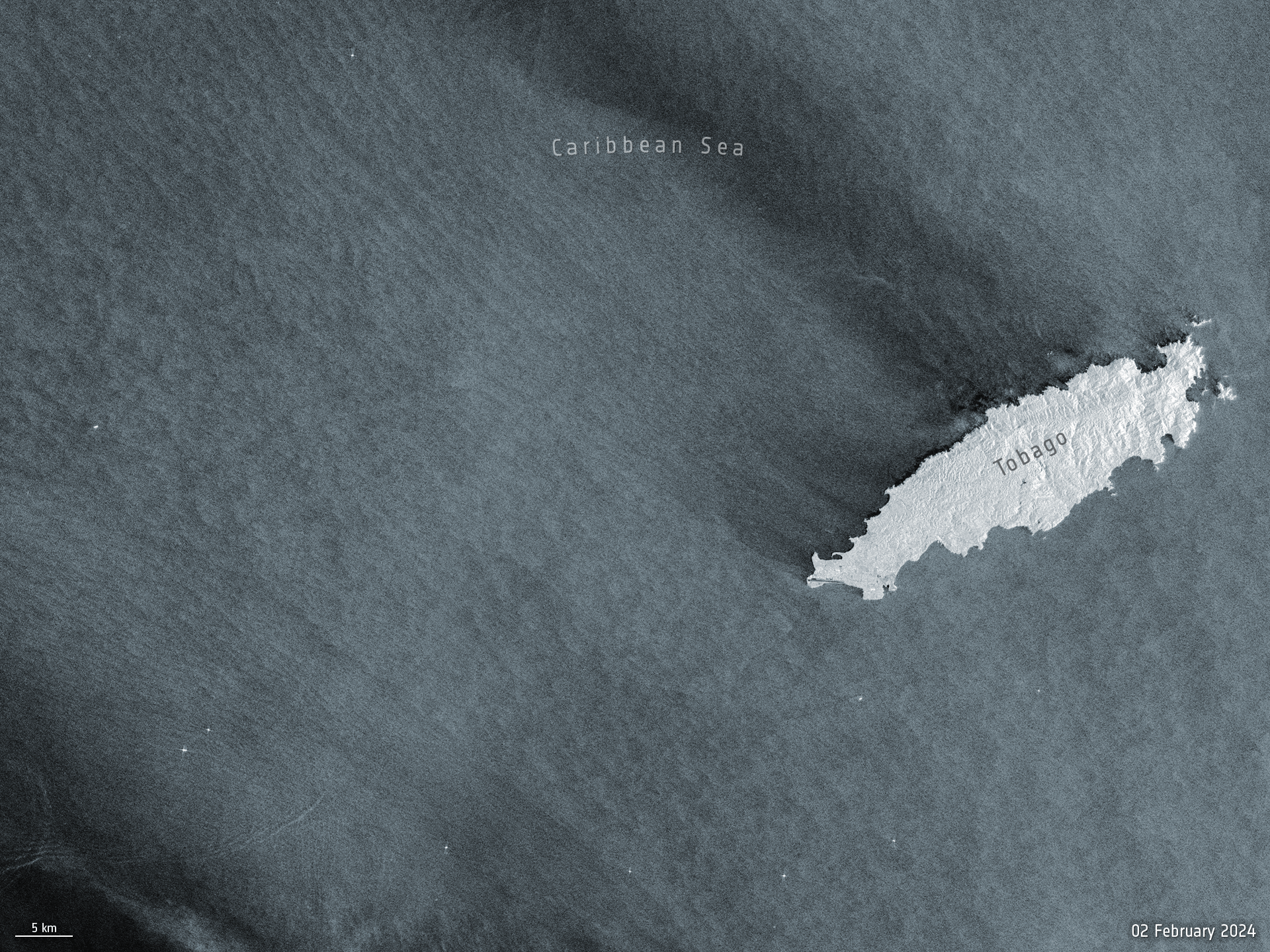 Oljesøl synes som svart i det grå havet i dette radarbildet fra Sentinel-1 over Tobago i Karibien.