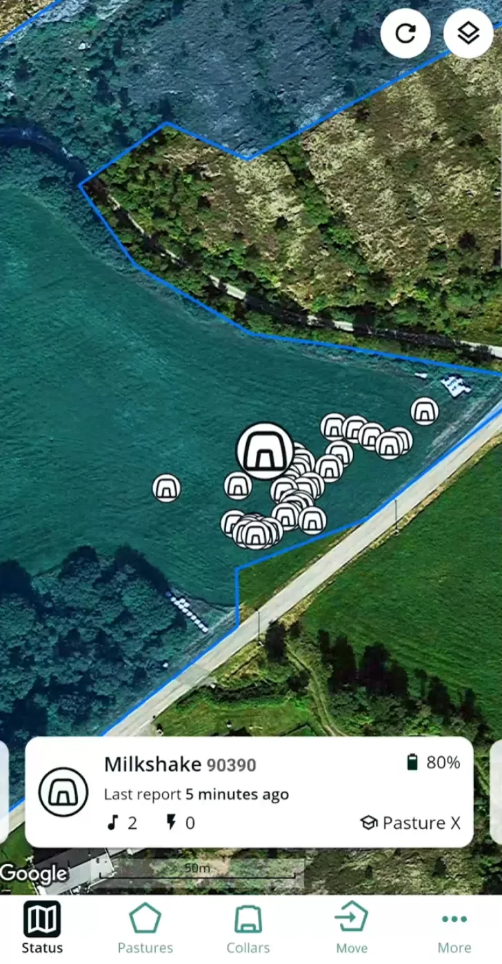 I Nofence sin mobilapp og webportal kan hvert beitedyr spores ved hjelp av data fra satellittnavigasjonssystemer.