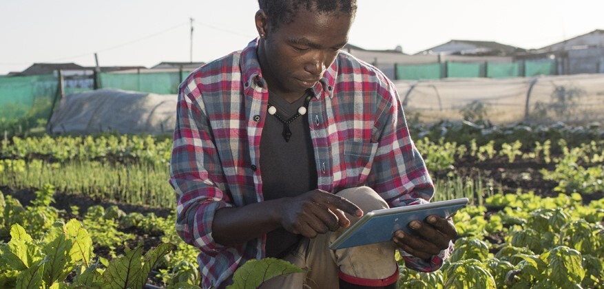 Satellitter og romteknologi kan hjelpe landbruket på jorda på flere måter.