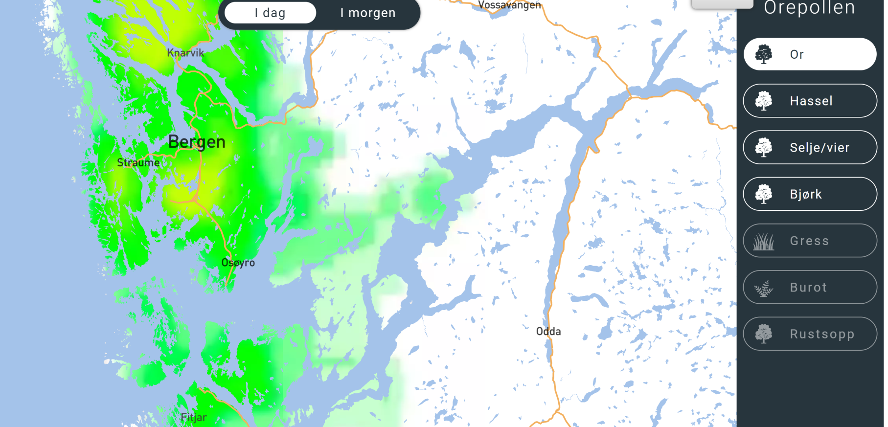 Det norske firmaet Airmine har utvikla ei varslingsteneste som viser når og kvar det er spreiing av vanlege typar pollen.