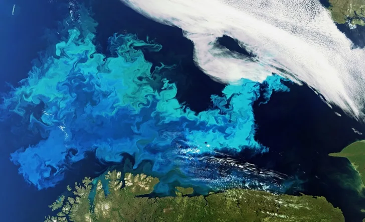 Algeoppblomstring i havet utenfor Nord-Norge.