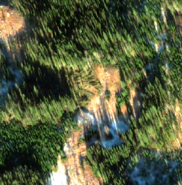 Satellittbilde av skog og trær som har blåst ned (i midten av bildet) i Nordre Land etter stormen 19. november 2021.