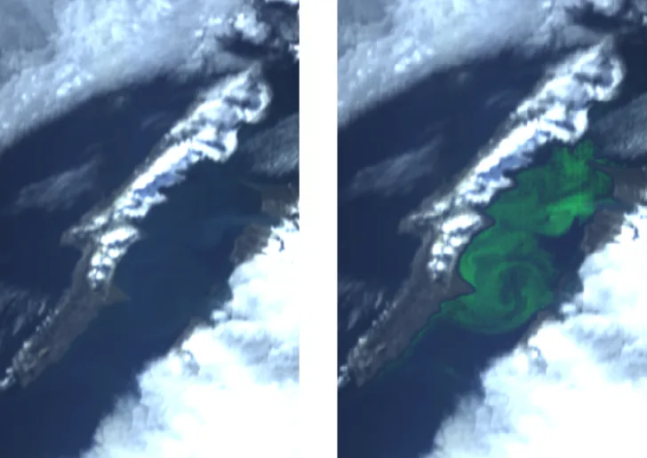 Til venstre: Observasjon over Svalbard i mai 2022 av HYPSO-1, i de vanlige fargene rødt, grønt og blått. Til høyre: Her skiller en algoritme mellom to spektrale bånd for å fremheve algeoppblomstring.
