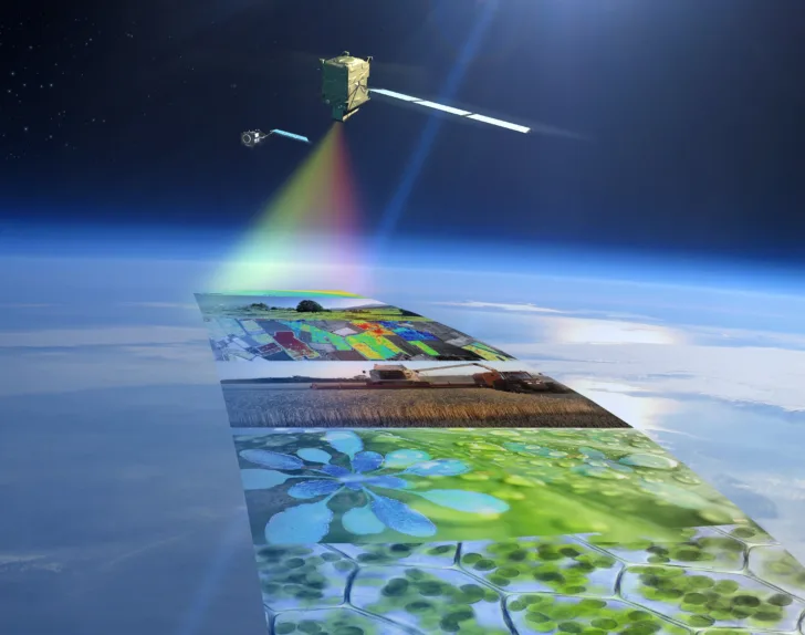Fluorescence Explorer, FLEX, er den nyeste av de europeiske forskningssatellittene Earth Explorers. FLEX skal måle planters fotosyntese og helse fra rommet.