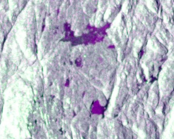Sentinel-1 ser flom (lilla) i Vesle Steinbruvatnet og Bølevann i Aust-Agder 21. oktober 2017.
