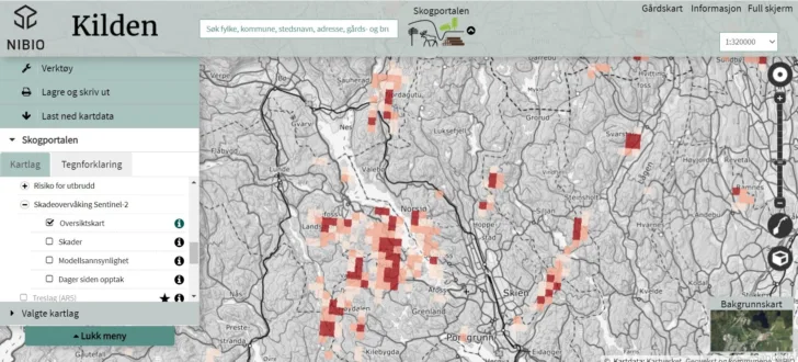 NIBIOs karttjeneste Kilden viser blant annet død granskog. I slik skog kan stor granskogbille, som er skadelige for trær, formere seg.