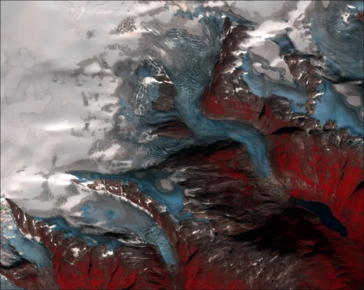 Tuftebreen, Nigardsbreen og deler av Jostedalsbreen sett av Sentinel-2 den 27. august 2019. Her vises is i blått, snø i hvitt og vegetasjon i rødt. 