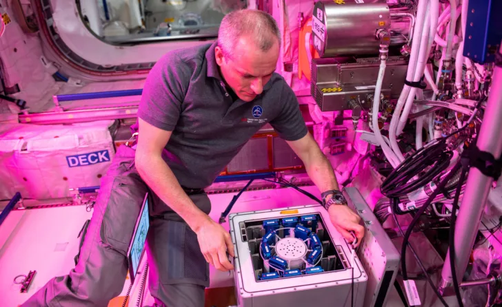 Forsøk med nanopartikler som antioksidanter settes inn i en inkubator på romstasjonen.